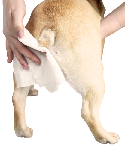 Lingettes de toilettage naturelles en bambou