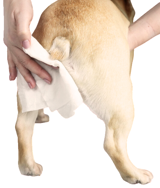 Lingettes de toilettage naturelles en bambou