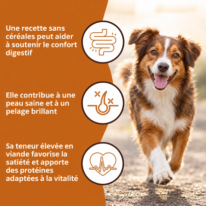 Pienso de pollo y batata para perros adultos