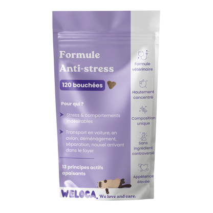 Complément alimentaire anti-stress pour chats