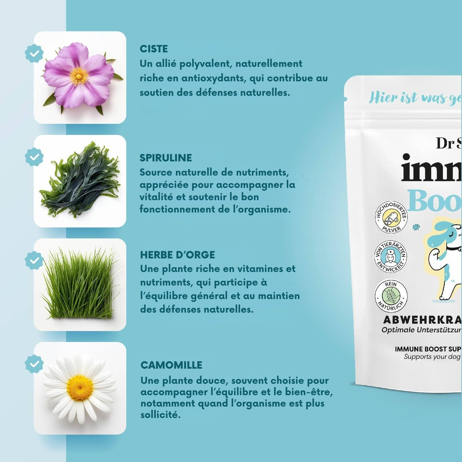 Herbal immune support powder