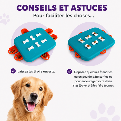 Jeu de réflexion Dog Casino niveau 3 pour chiens