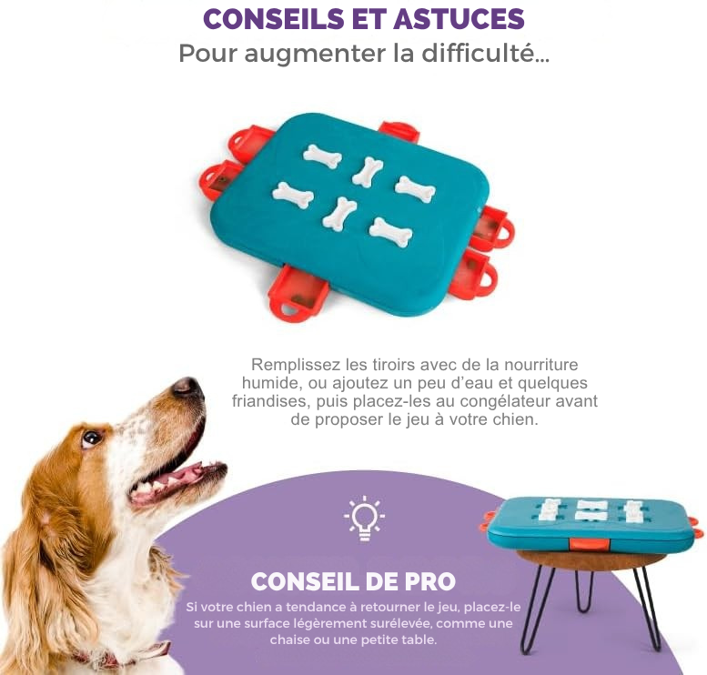 Jeu de réflexion Dog Casino niveau 3 pour chiens