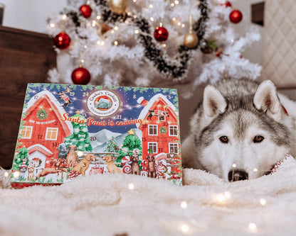 Calendrier de l’Avent 48 friandises pour chiens