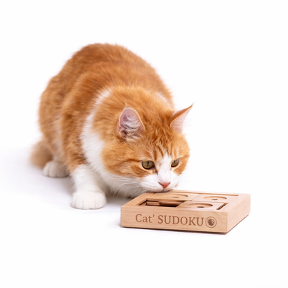 Jeu d’intelligence Sudoku petit format en bois – niveau débutant