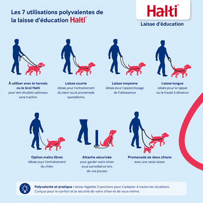 Laisse d’éducation 3 positions pour chiens