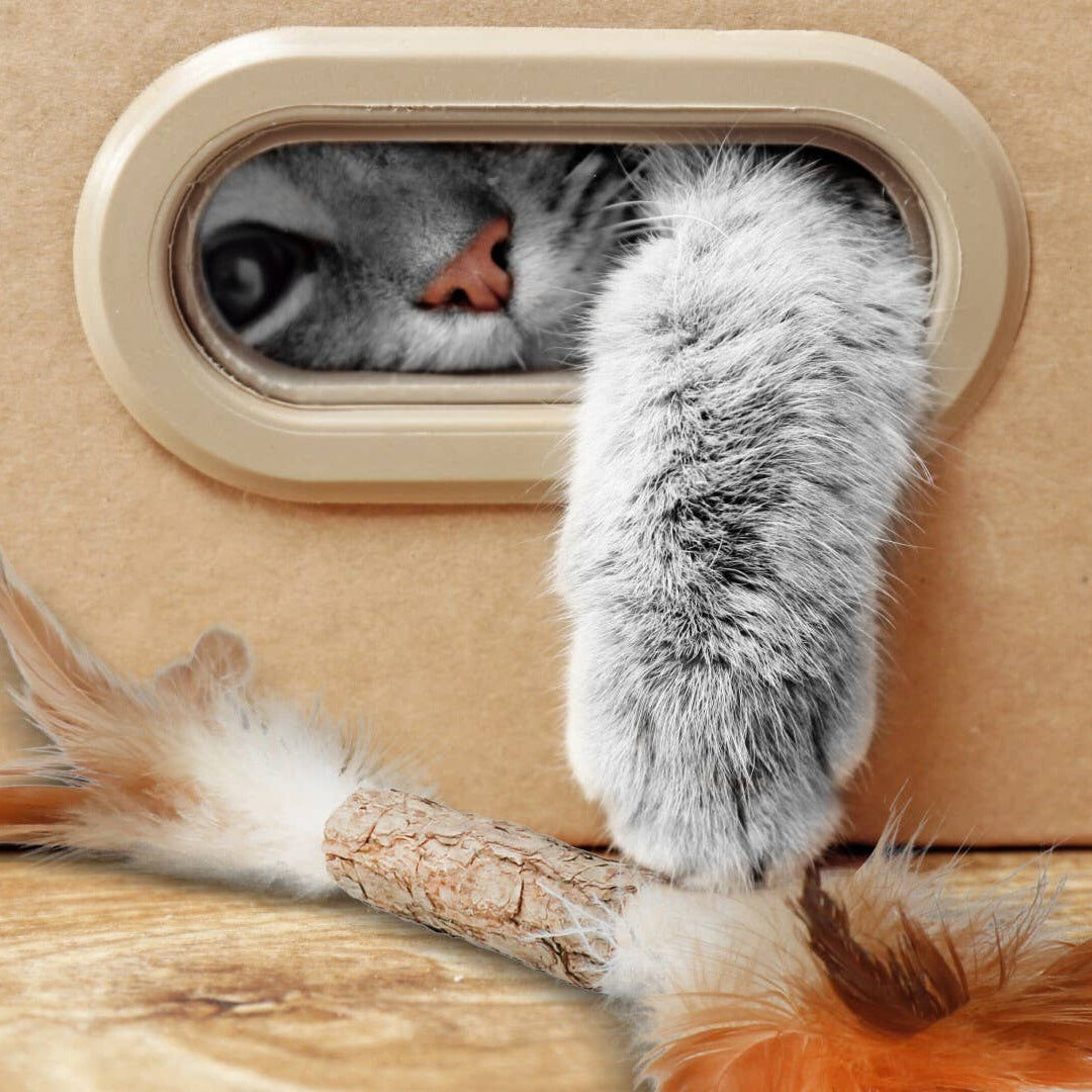 Jouet bâtonnet avec plumes au matatabi