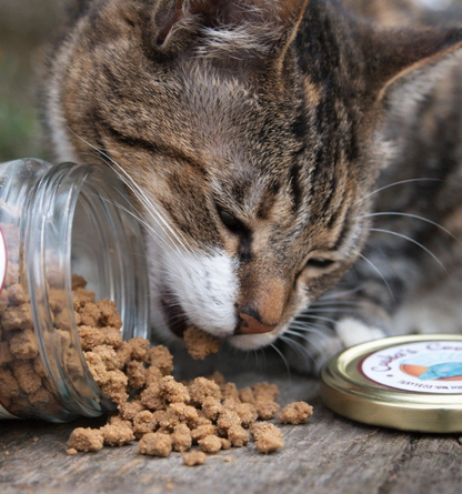 Crumble de poulet déshydraté pour chiens et chats