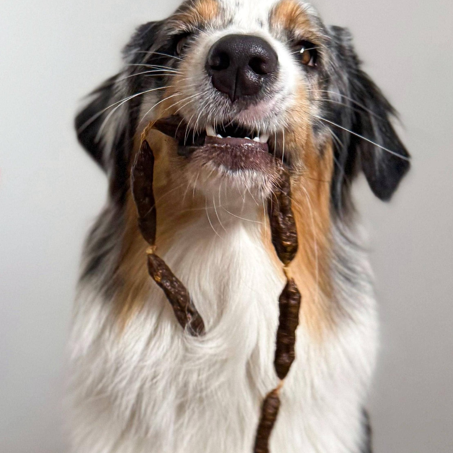 Saucisses séchées de bœuf