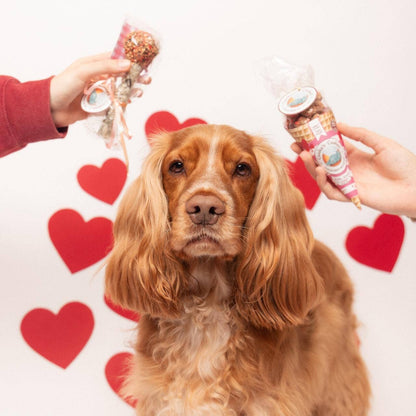 Turkey and tuna treat cone for dogs