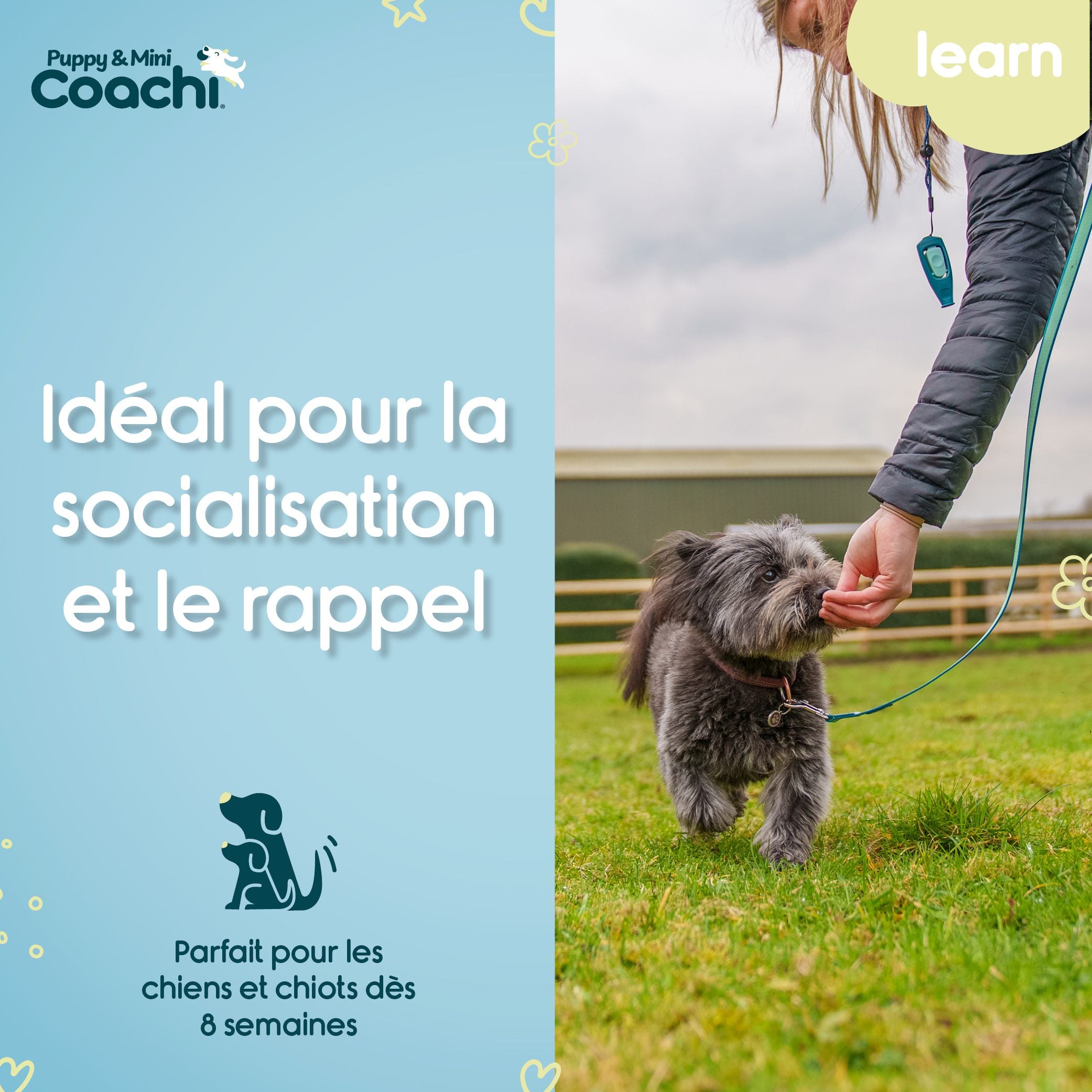 Waterproof long leash for puppies and small dogs