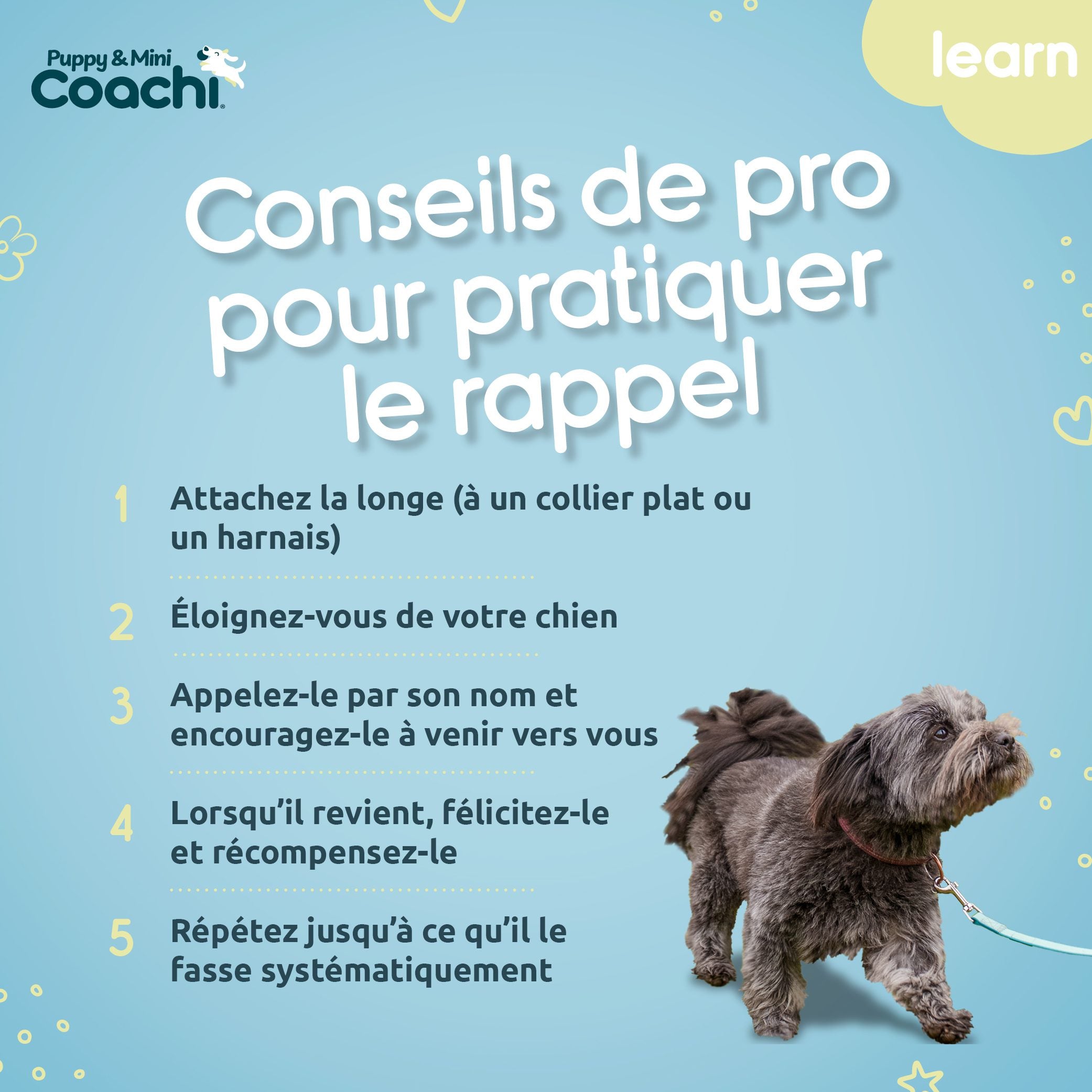 Waterproof long leash for puppies and small dogs