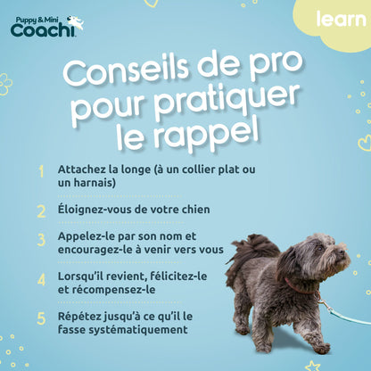 Waterproof long leash for puppies and small dogs