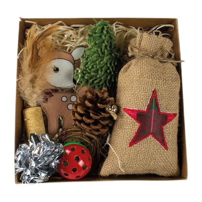 Coffret cadeau 9 jouets