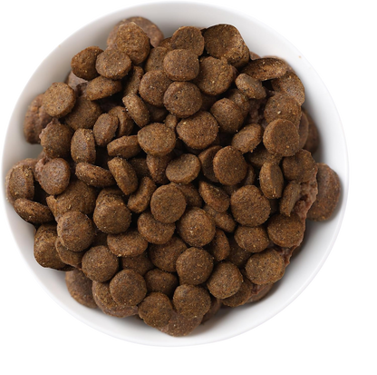 Adult Cat Urinary Health Duck and Quinoa Kibble