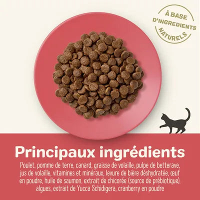 Chicken and duck kibble for adult cats
