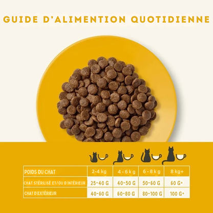 Chicken-flavored kibble for adult cats