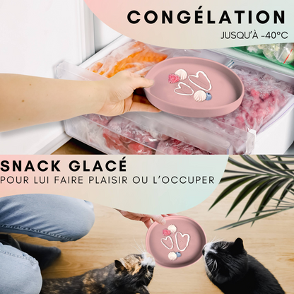 Gamelle plate en silicone