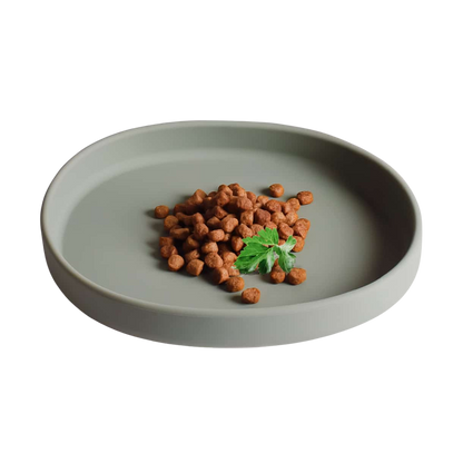 Gamelle plate en silicone