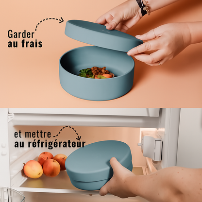 Silicone bowl with lid