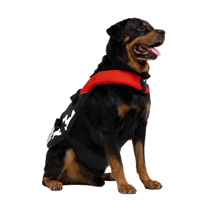 Gilet de sauvetage pour chiens