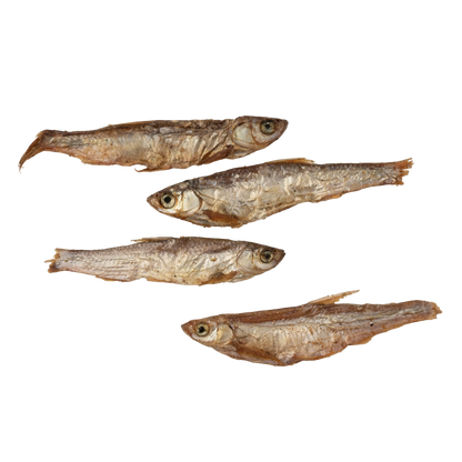 Gone Fishing - Air-dried fish