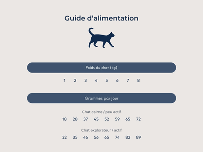 Southern beef & blue whiting cat kibble