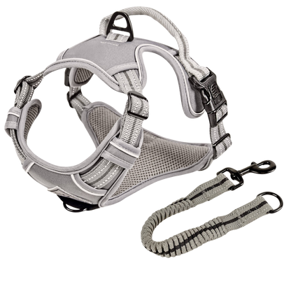 Reflective anti-pull harness