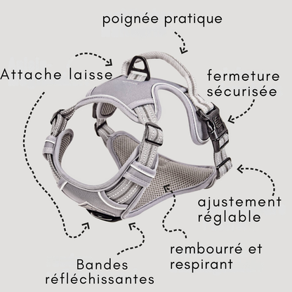 Reflective anti-pull harness