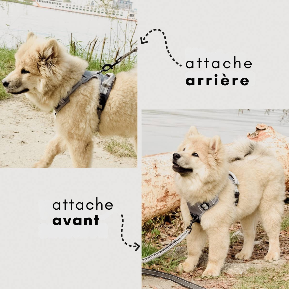 Reflective anti-pull harness