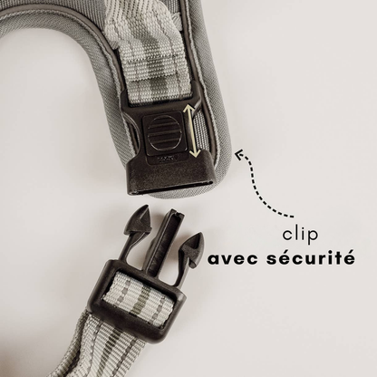 Reflective anti-pull harness