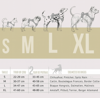 Reflective anti-pull harness