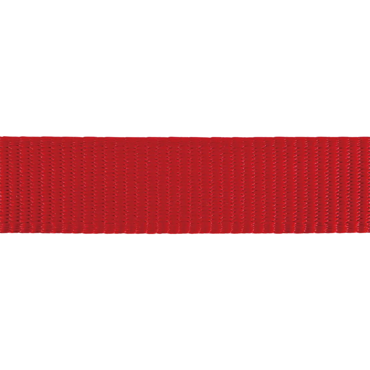 Harnais de sport rouge pour chiens