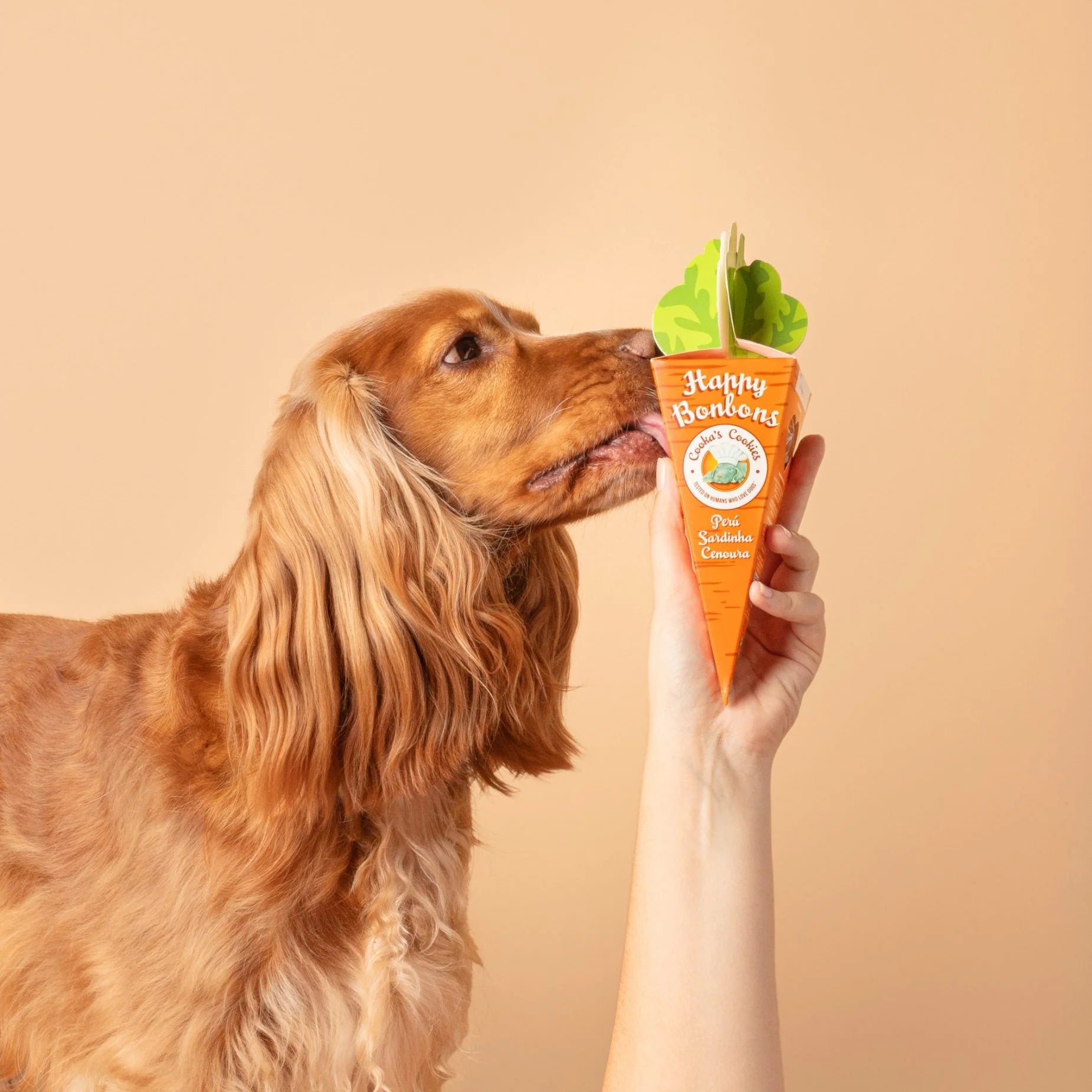 Friandises croquantes dinde et sardine pour chiens