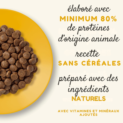 Chicken-flavored kibble for adult cats