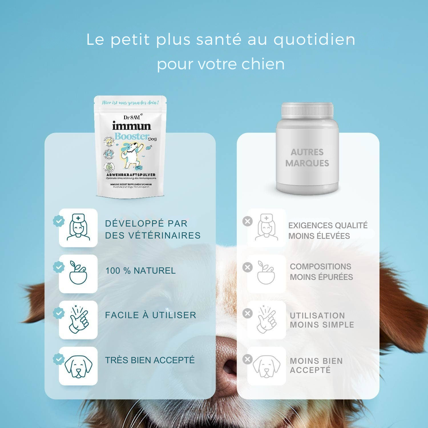 Poudre de soutien immunitaire à base de plantes