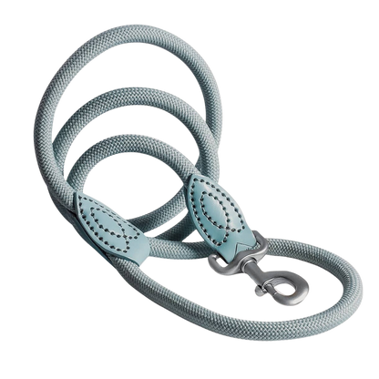 Laisse en polyamide et cuir