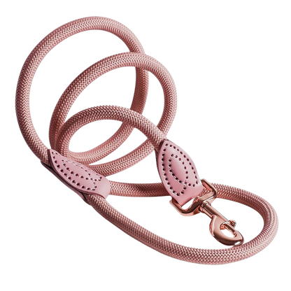 Laisse en polyamide et cuir