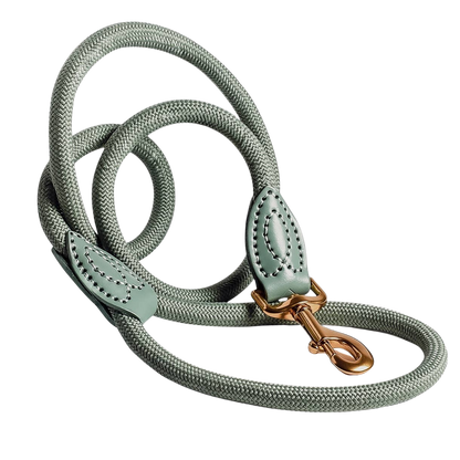 Laisse en polyamide et cuir