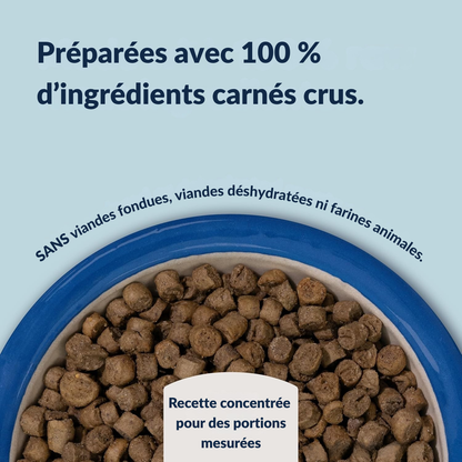 Southern beef & blue whiting cat kibble