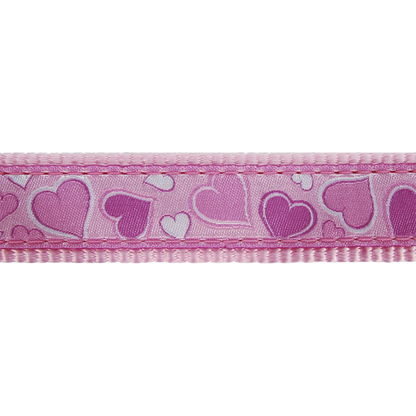 Breezy Love puppy collar, harness and leash set