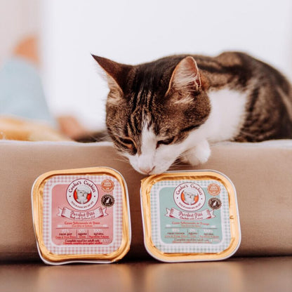 Chicken and catnip pie 