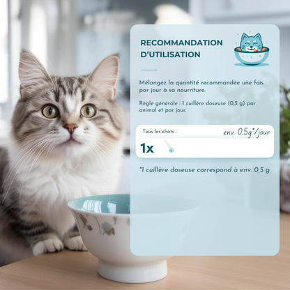 Herbal intestinal powder for cats