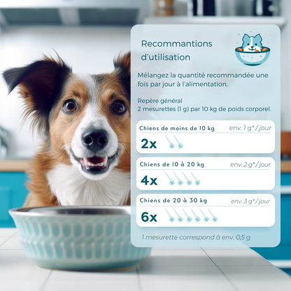 Poudre de soutien immunitaire à base de plantes