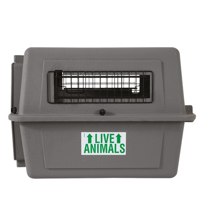 Caisse de transport Sky Kennel homologuée IATA