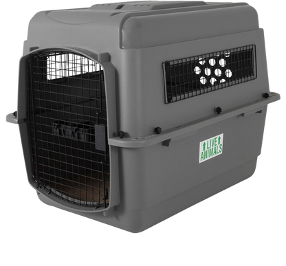 Caisse de transport Sky Kennel homologuée IATA