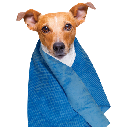Serviette rafraîchissante pour chiens et chats