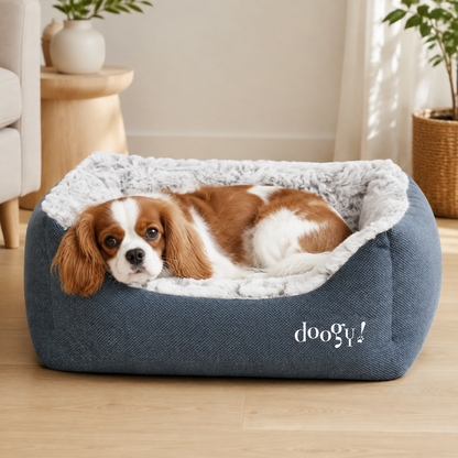 Soft Sofa Bed for Dogs and Cats