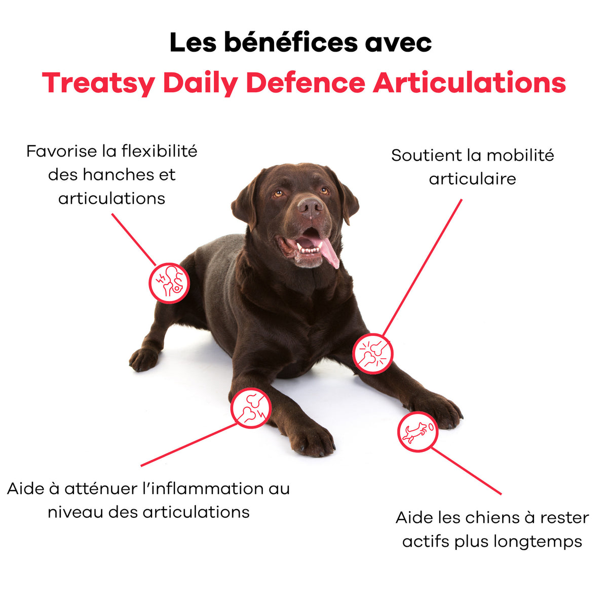 Joint supplement for dogs