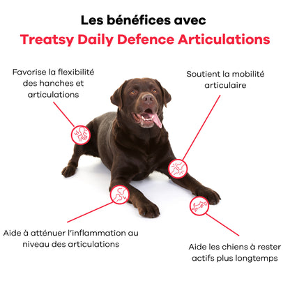 Joint supplement for dogs